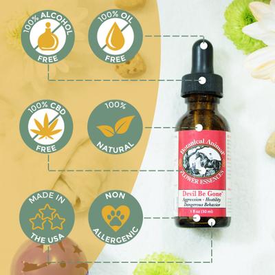 Show full view: Botanical Animal Flower Essences Devil Be Gone Calming Pet Supplement, 4-fl oz bottle slide 4 of 7