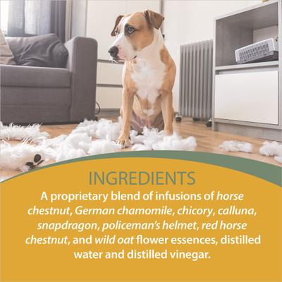 Show full view: Botanical Animal Flower Essences Easy Does It Calming Pet Supplement, 1-fl oz bottle slide 6 of 7