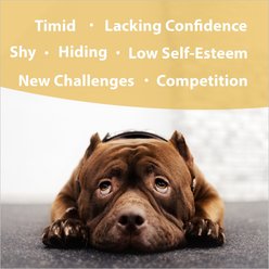 Botanical Animal Flower Essences Ego Builder Calming Pet Supplement, 1-fl oz bottle slide 2 of 6