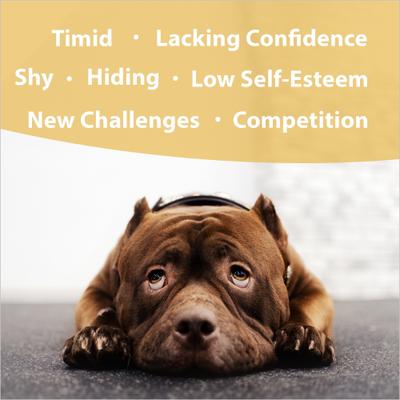 Show full view: Botanical Animal Flower Essences Ego Builder Calming Pet Supplement, 1-fl oz bottle slide 3 of 7