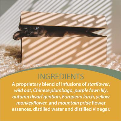 Show full view: Botanical Animal Flower Essences Ego Builder Calming Pet Supplement, 1-fl oz bottle slide 6 of 7