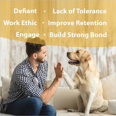 Show full view: Botanical Animal Flower Essences In Training Calming Pet Supplement, 1-fl oz bottle slide 3 of 7