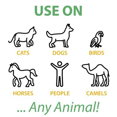 Show full view: Botanical Animal Flower Essences In Training Calming Pet Supplement, 1-fl oz bottle slide 5 of 7