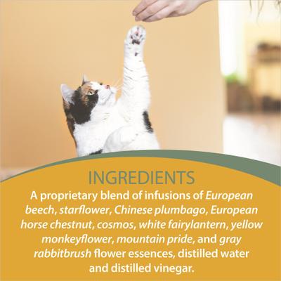 Show full view: Botanical Animal Flower Essences In Training Calming Pet Supplement, 1-fl oz bottle slide 6 of 7