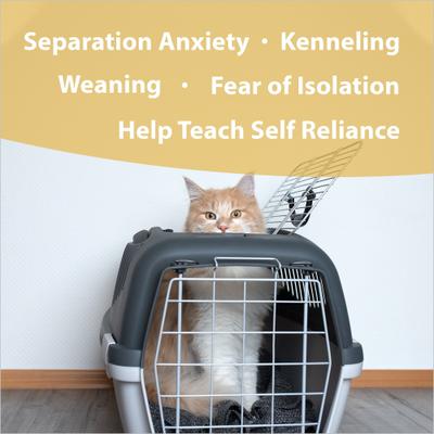 Show full view: Botanical Animal Flower Essences Independence Calming Pet Supplement, 1-fl oz bottle slide 3 of 7