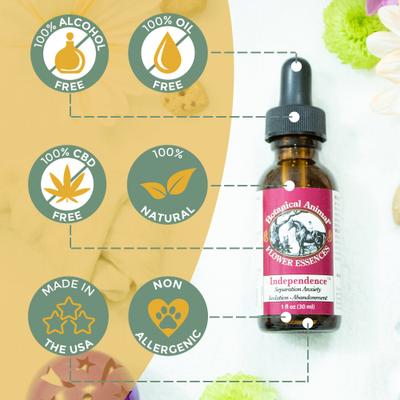 Show full view: Botanical Animal Flower Essences Independence Calming Pet Supplement, 1-fl oz bottle slide 4 of 7