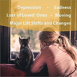 Botanical Animal Flower Essences Life's Changes Calming Pet Supplement, 1-fl oz bottle slide 2 of 6