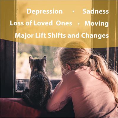 Show full view: Botanical Animal Flower Essences Life's Changes Calming Pet Supplement, 1-fl oz bottle slide 3 of 8