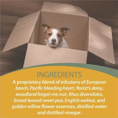 Show full view: Botanical Animal Flower Essences Life's Changes Calming Pet Supplement, 1-fl oz bottle slide 6 of 8