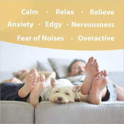 Show full view: Botanical Animal Flower Essences Mellow Out Calming Pet Supplement, 1-fl oz bottle slide 3 of 7