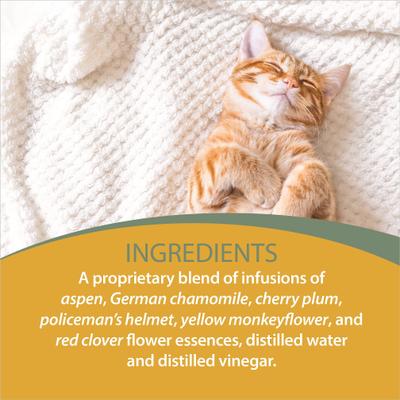 Show full view: Botanical Animal Flower Essences Mellow Out Calming Pet Supplement, 4-fl oz bottle slide 6 of 7