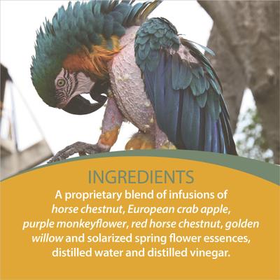 Show full view: Botanical Animal Flower Essences Obsess Less Calming Pet Supplement, 1-fl oz bottle slide 6 of 6