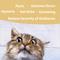 Show in main carousel: Botanical Animal Flower Essences Panic Attack Calming Pet Supplement, 1-fl oz bottle slide 3 of 7