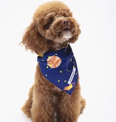 Both Tails Astro Accessories Dog Bandana, Navy/Yellow/Orange, Small