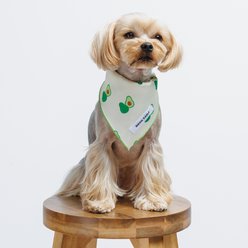 Both Tails Avocado Dog Bandana, Small slide 2 of 8