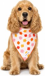 Both Tails Bubbly Dog Bandana, Medium
