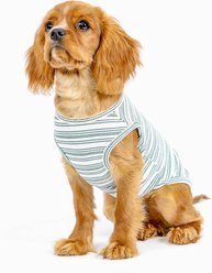 Both Tails Candy Cane Sleeveless Dog Sweater, Green, Large