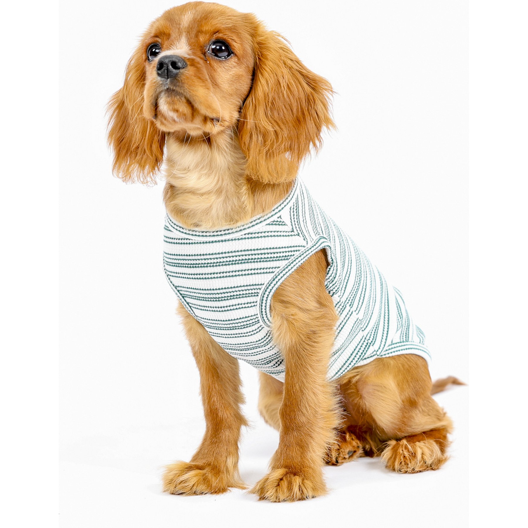 Both Tails Candy Cane Sleeveless Dog Sweater, Green, Large
