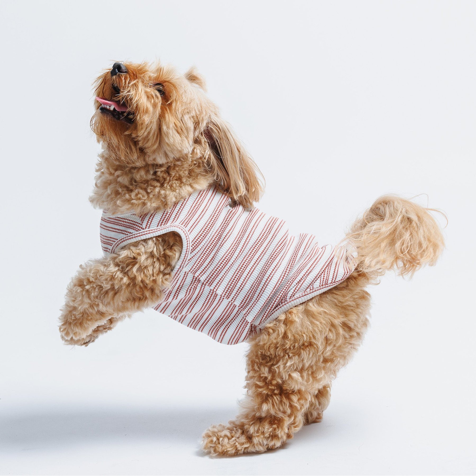 Both Tails Candy Cane Sleeveless Dog Sweater, Red, XX-Large