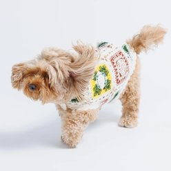 Both Tails Cherry Crochet Dog Shirt, Medium slide 2 of 6