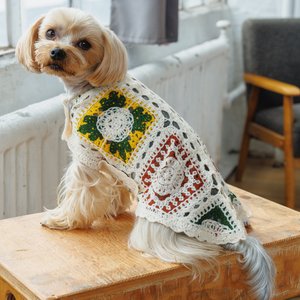 Both Tails Cherry Crochet Dog Shirt, Small