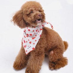 Both Tails Cupid Accessories Dog Bandana, Red/White, Medium