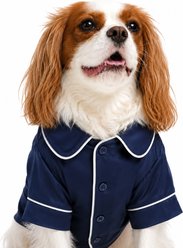 Both Tails Dog Pajamas, Blue, Medium