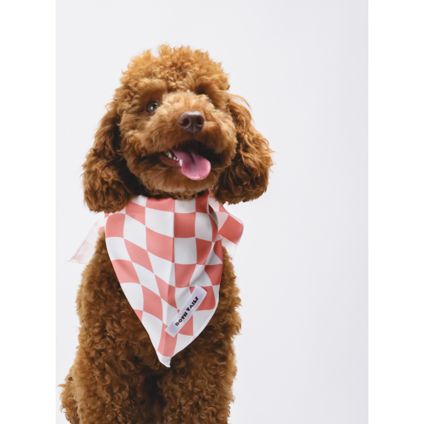 Both Tails Peaches Accessories Dog Bandana, Pink/White, Small