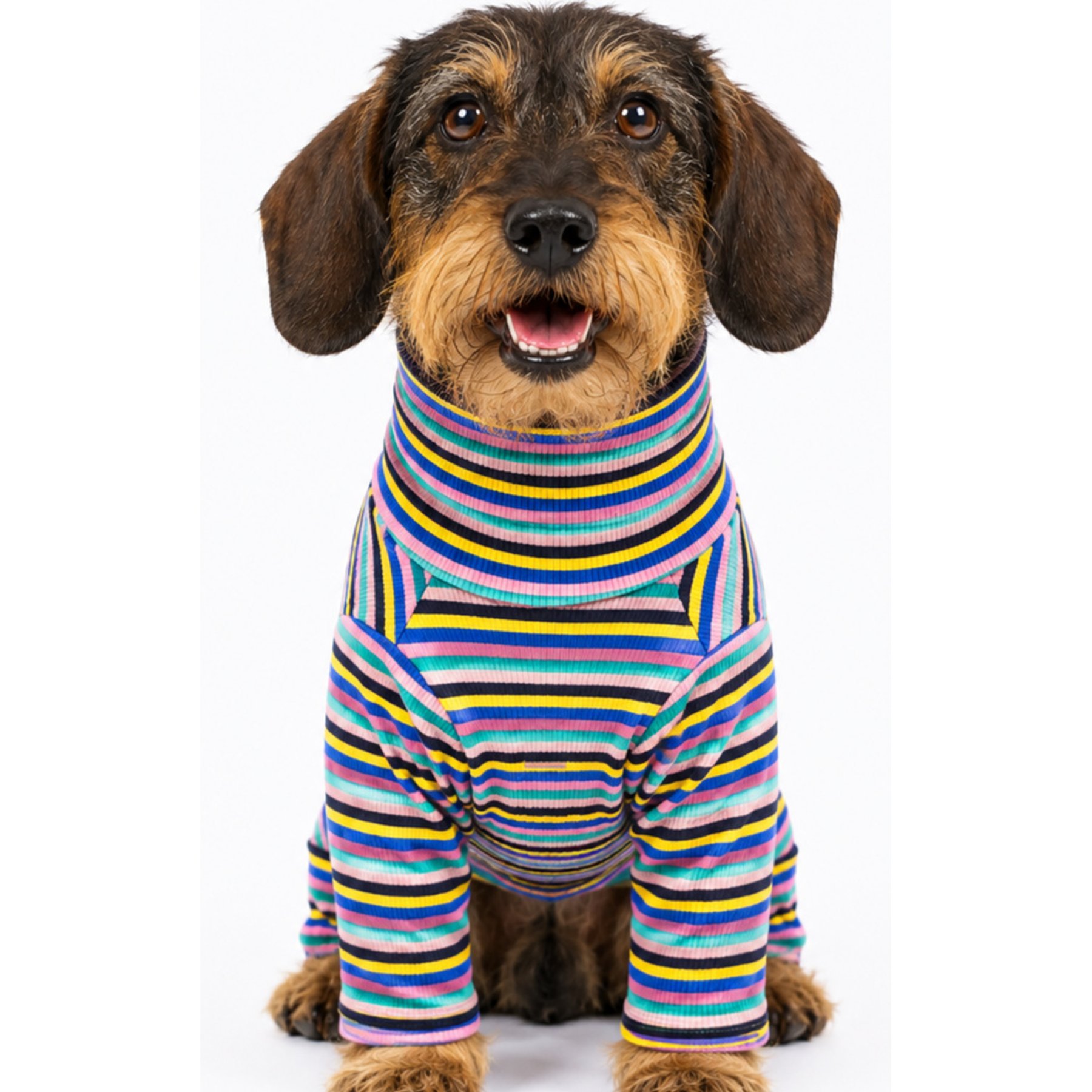 Both Tails Sunset Long Sleeve Dog Sweater, Medium