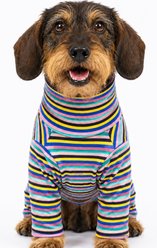 Both Tails Sunset Long Sleeve Dog Sweater, X-Small