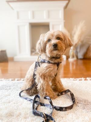 Show full view: Boulevard Camo Dog Harness, Small slide 2 of 4