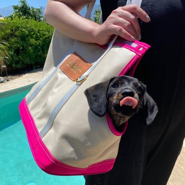Boulevard Fido Personalized Dog Carrier Tote Bag