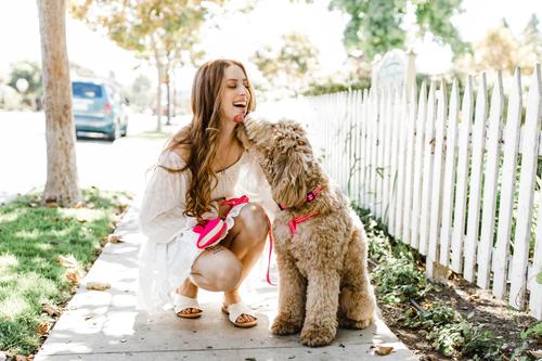 Show full view: Boulevard Gingham Collar, Pink, Medium slide 5 of 6