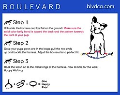 Boulevard Gingham Dog Harness, Black, Medium slide 2 of 3