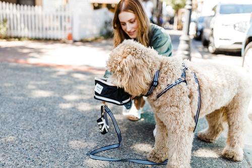 Show full view: Boulevard Gingham Dog Harness, Black, Medium slide 3 of 3