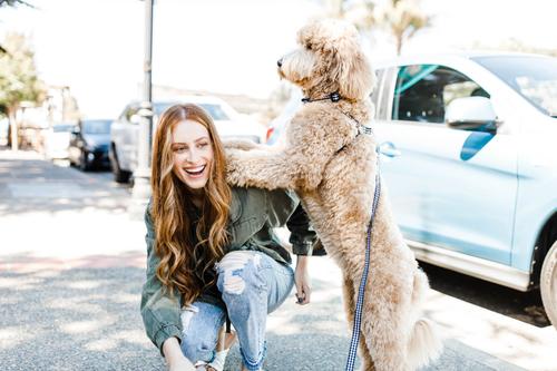 Show full view: Boulevard Gingham Dog Leash, Navy, Small/Medium slide 4 of 4