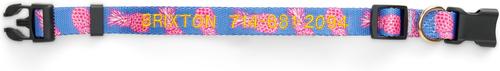 Show full view: Boulevard Personalized Aloha Dog Collar, Pink, Large slide 2 of 5