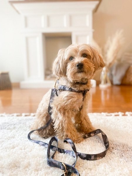 Boulevard Personalized Remy Camo Dog Bandana