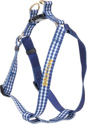 Boulevard Personalized Gingham Dog Harness, Navy, Large