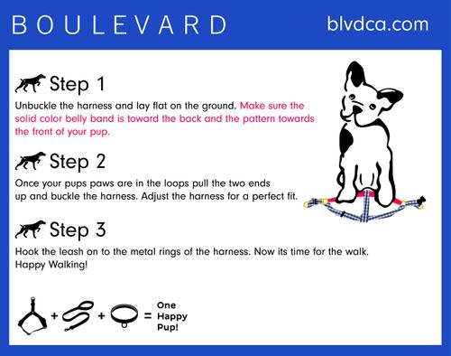 Show full view: Boulevard Personalized Leopard Dog Harness, Large slide 6 of 6