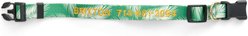 Boulevard Personalized Palm Dog Collar, Palm Green, Large slide 2 of 4