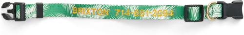 Show full view: Boulevard Personalized Palm Dog Collar, Palm Green, Small slide 2 of 4