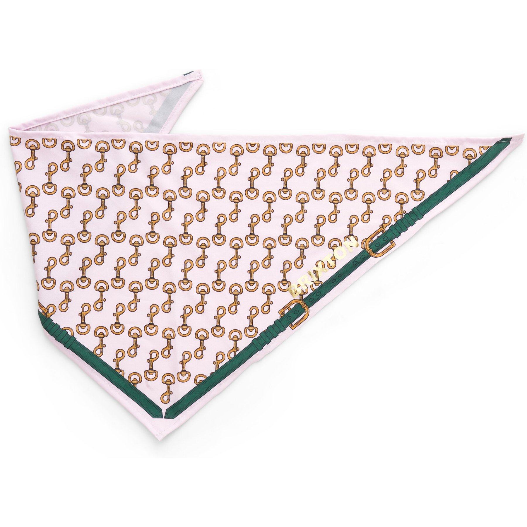 Boulevard Personalized Remy Buckle Dog Bandana, Pink, Large