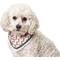 Show in main carousel: Boulevard Personalized Remy Buckle Dog Bandana, Pink, Large slide 5 of 6