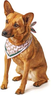 Show full view: Boulevard Personalized Remy Buckle Dog Bandana, Pink, Small slide 6 of 6