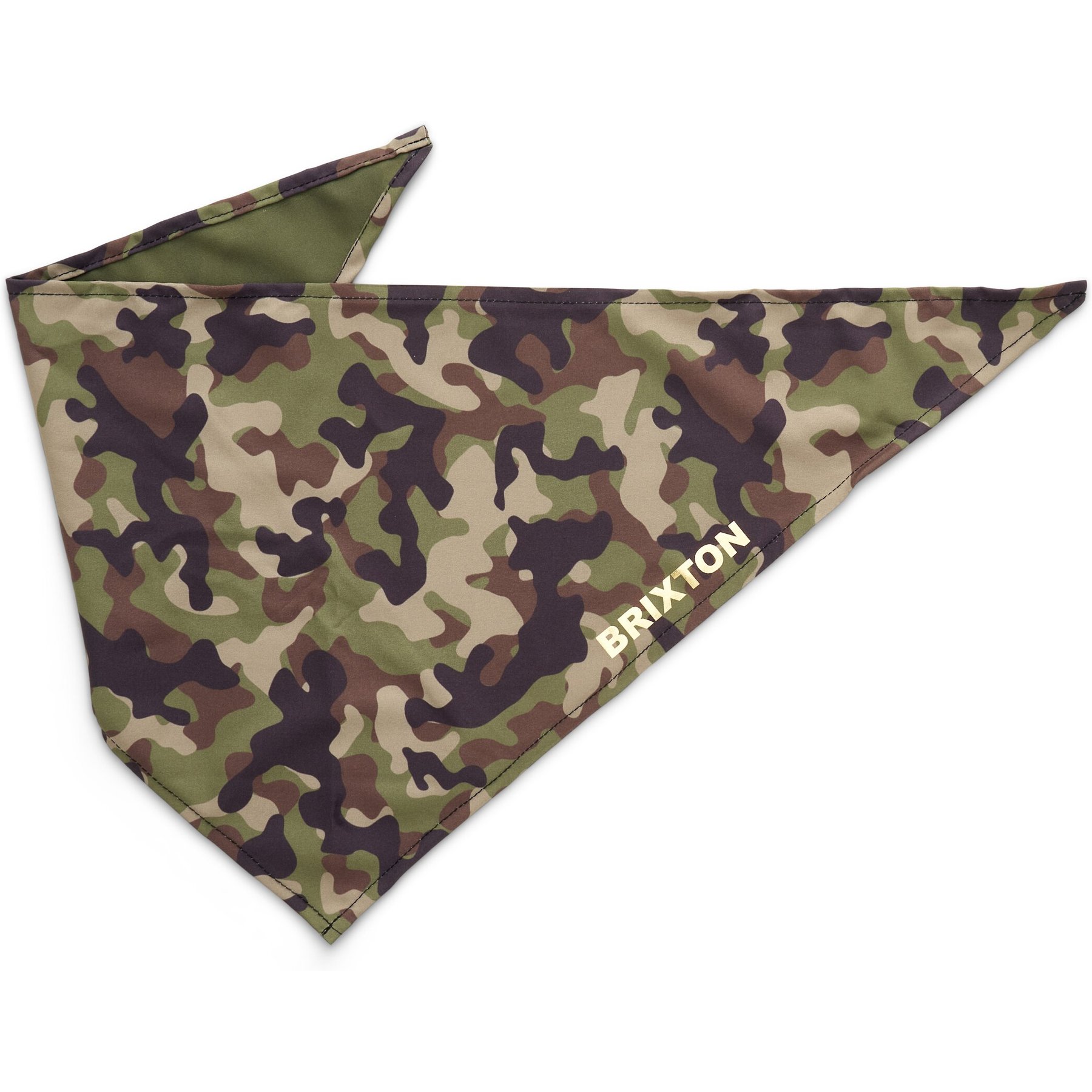 Boulevard Personalized Remy Camo Dog Bandana, Camo, Large