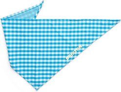Boulevard Personalized Remy Gingham Dog Bandana, Sky Blue, Small