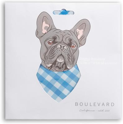 Show full view: Boulevard Personalized Remy Gingham Dog Bandana, Sky Blue, Small slide 3 of 5