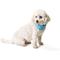 Show in main carousel: Boulevard Personalized Remy Gingham Dog Bandana, Sky Blue, Small slide 5 of 5