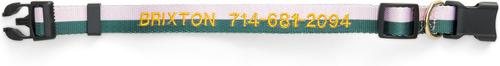 Show full view: Boulevard Personalized Stripe Dog Collar, Medium slide 2 of 4